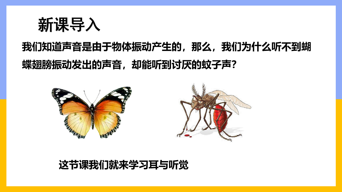 18163491第3页