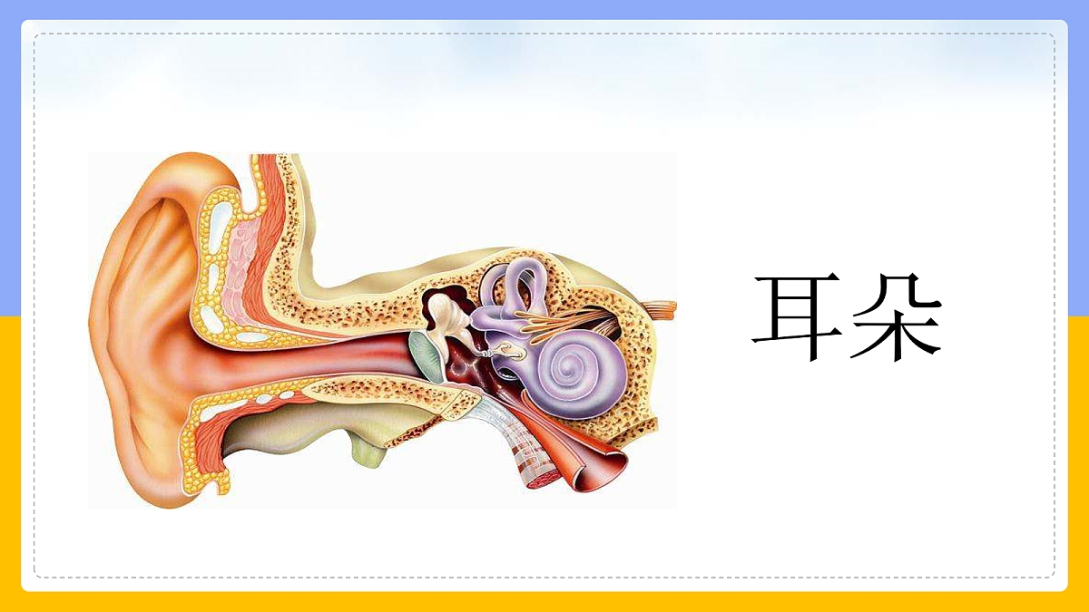 18163491第7页