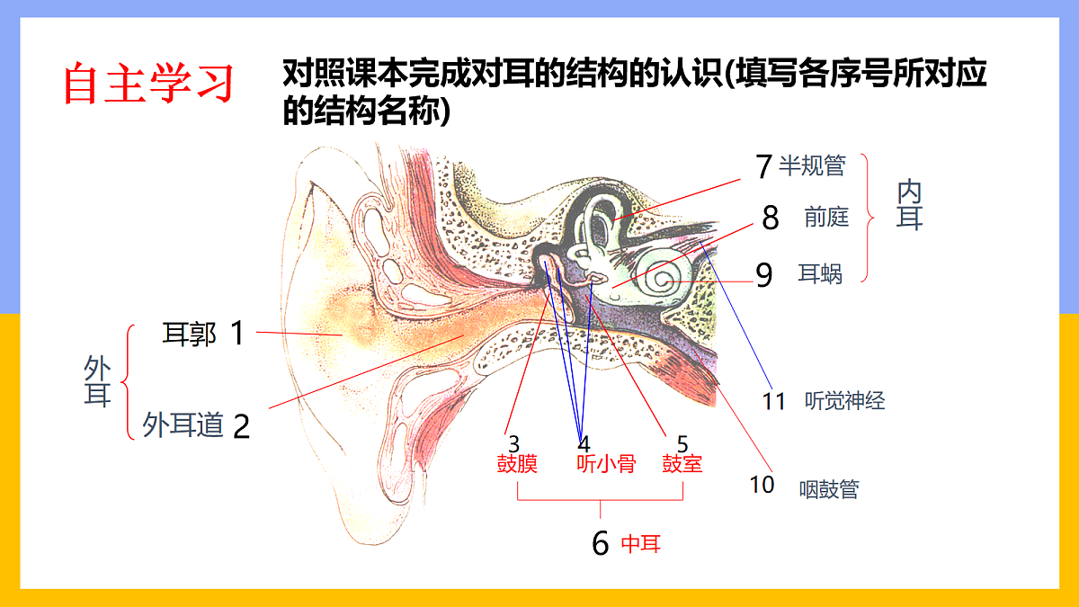 18163491第8页