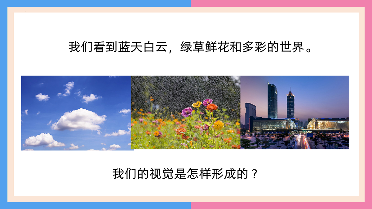 18163492第3页