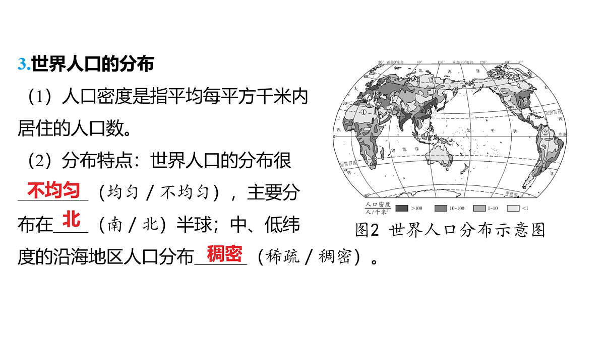 18163539第4页
