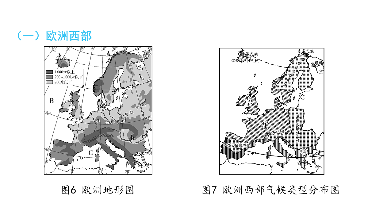 18163543第2页