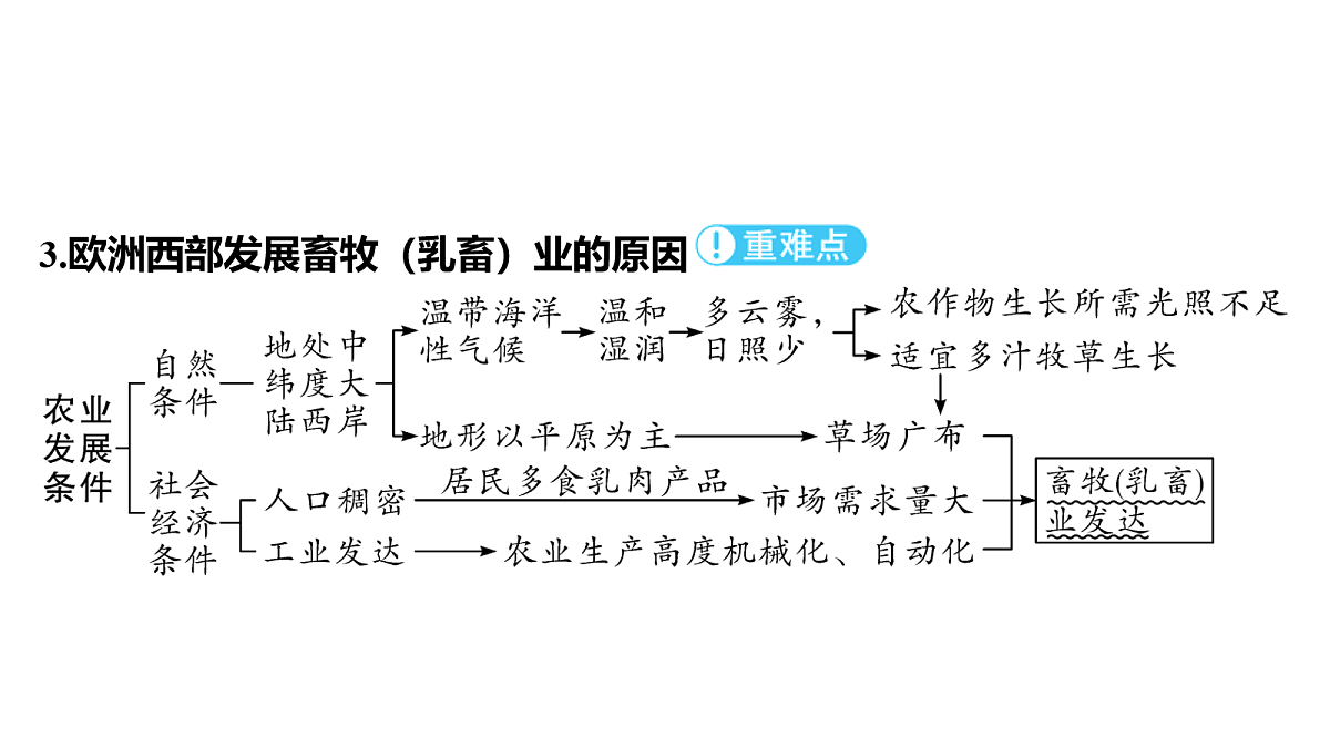 18163543第6页