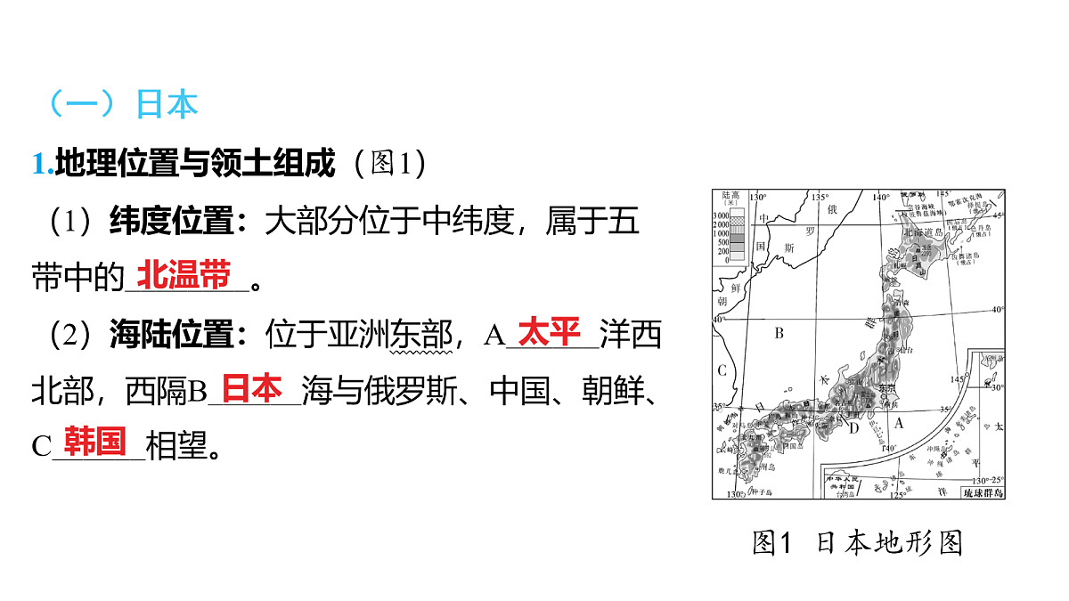 18163544第2页