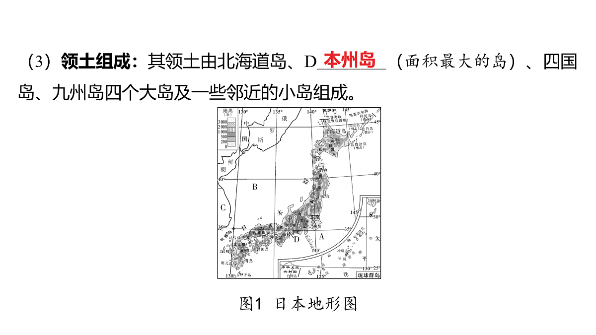 18163544第3页