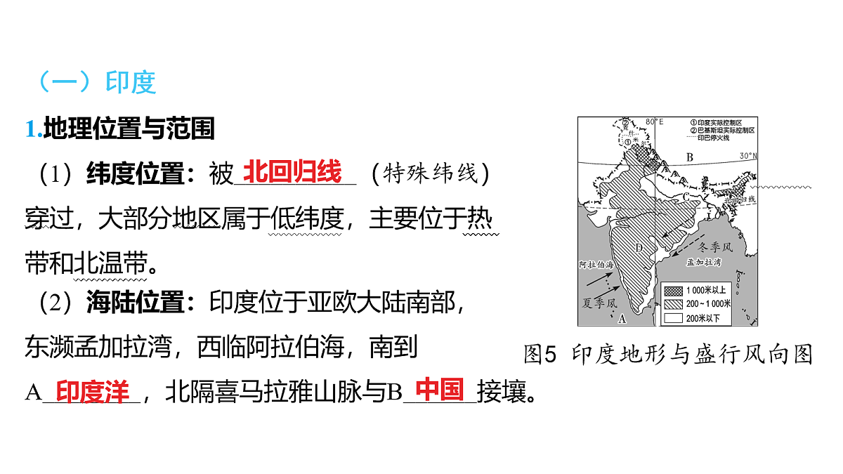 18163545第2页