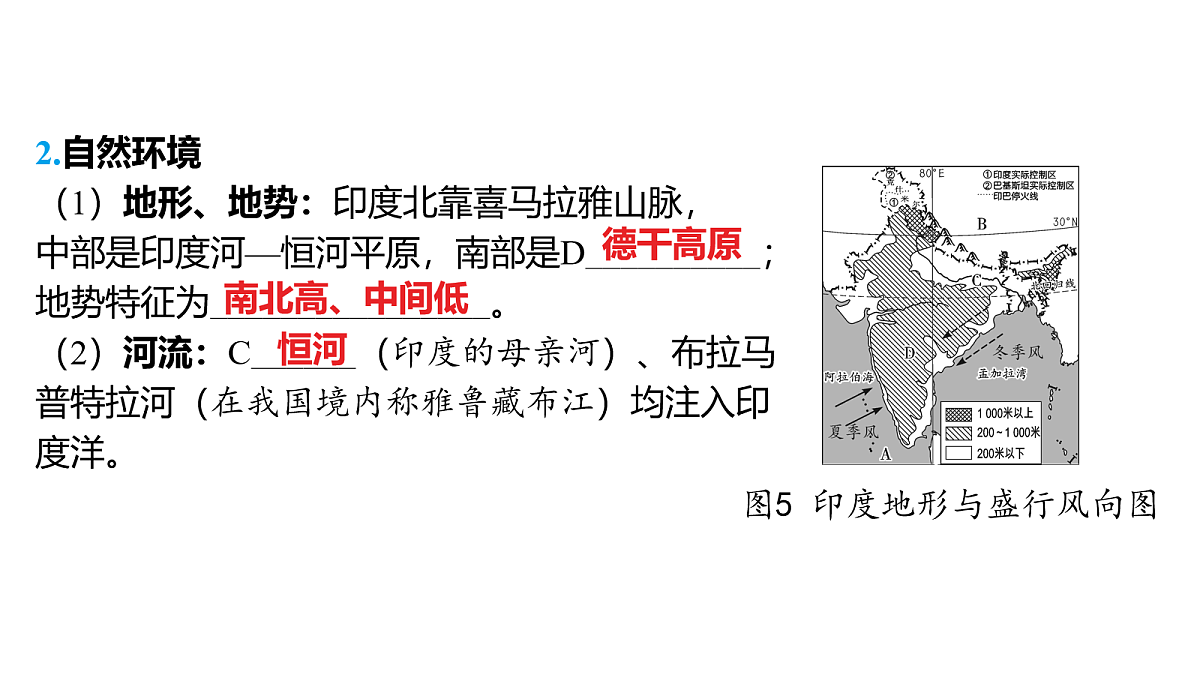 18163545第3页