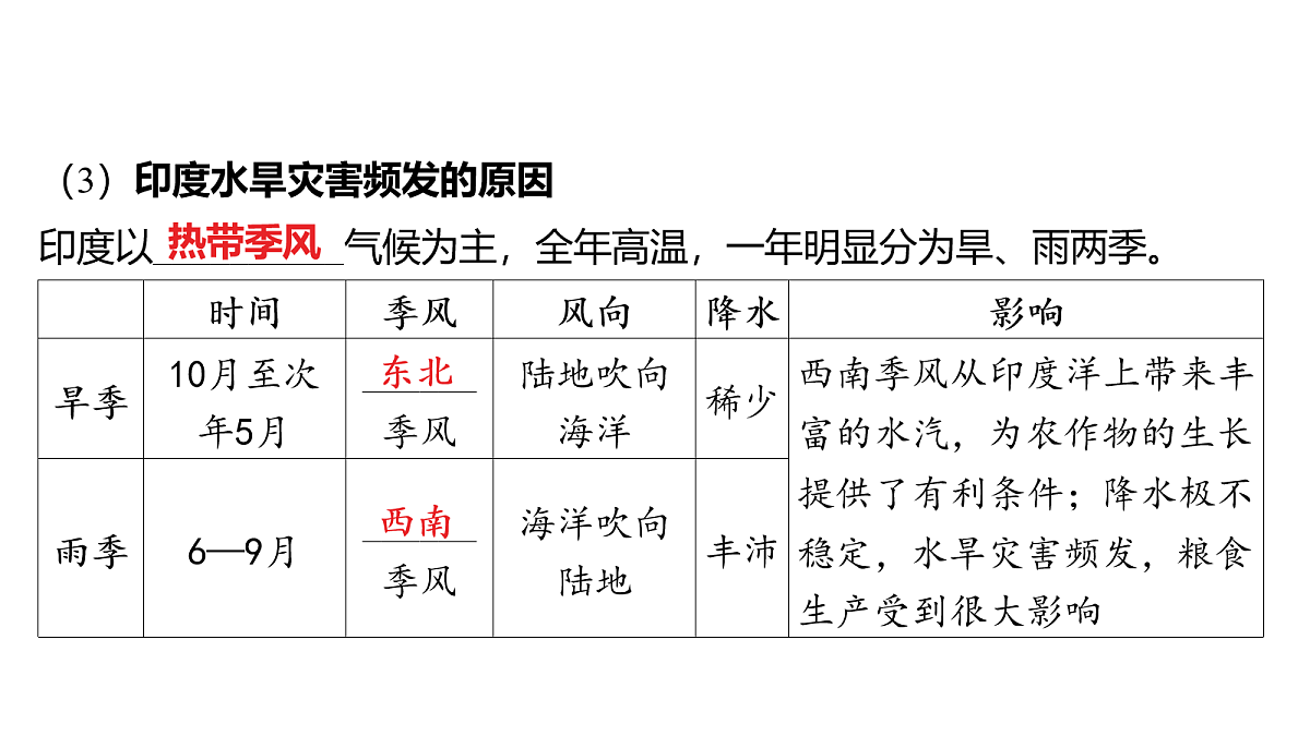 18163545第4页