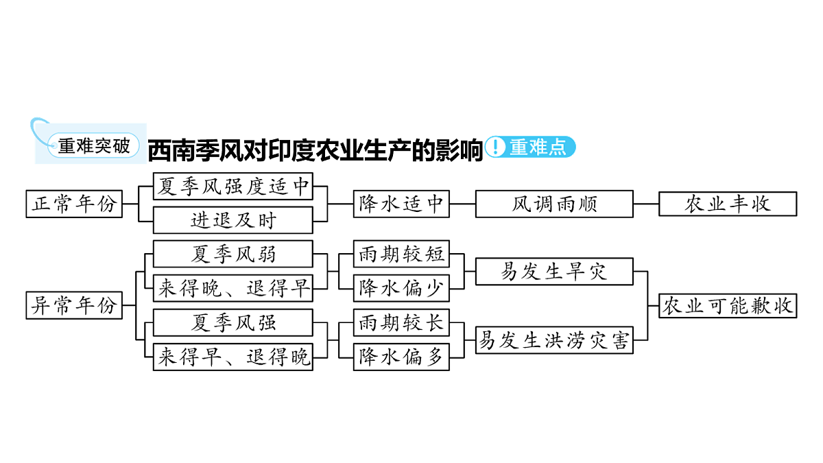 18163545第5页