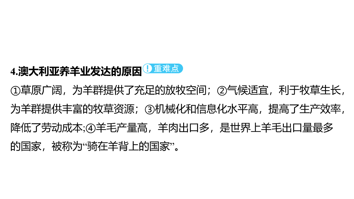 18163546第6页