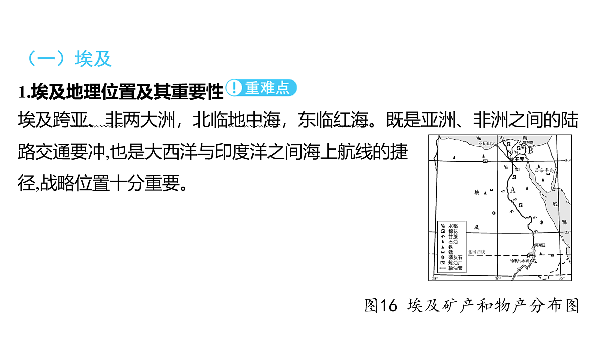 18163547第2页