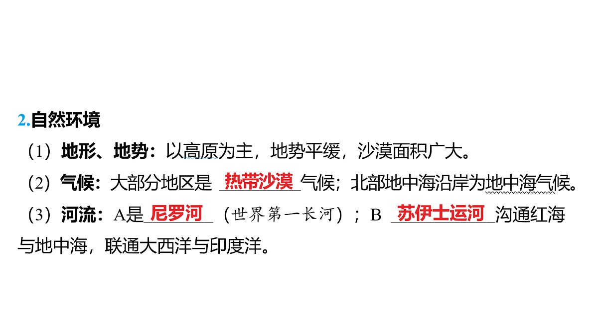 18163547第3页