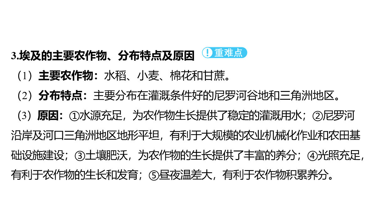 18163547第4页