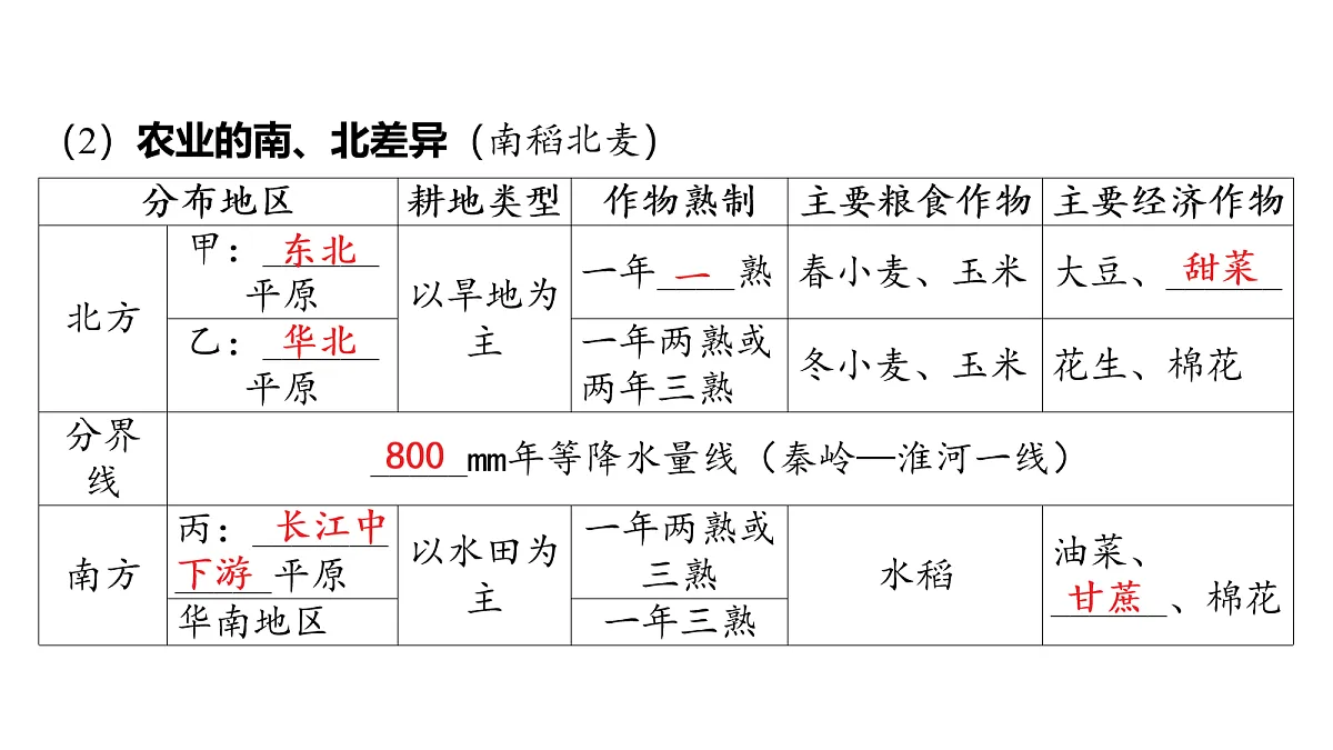 18163552第5页