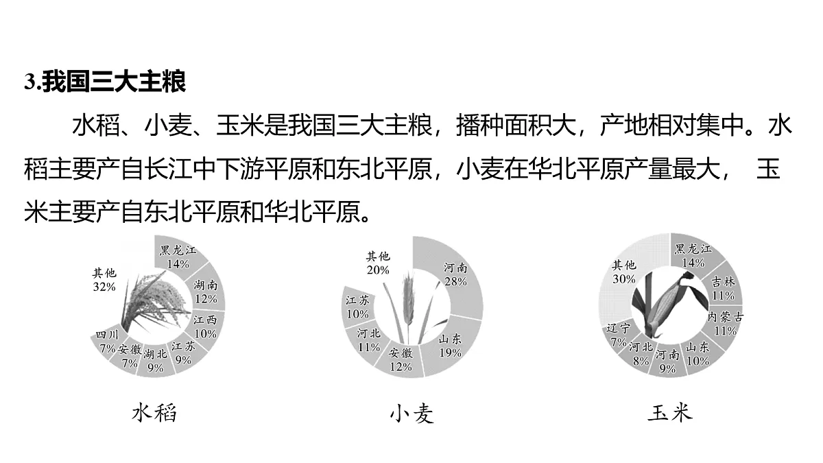 18163552第6页
