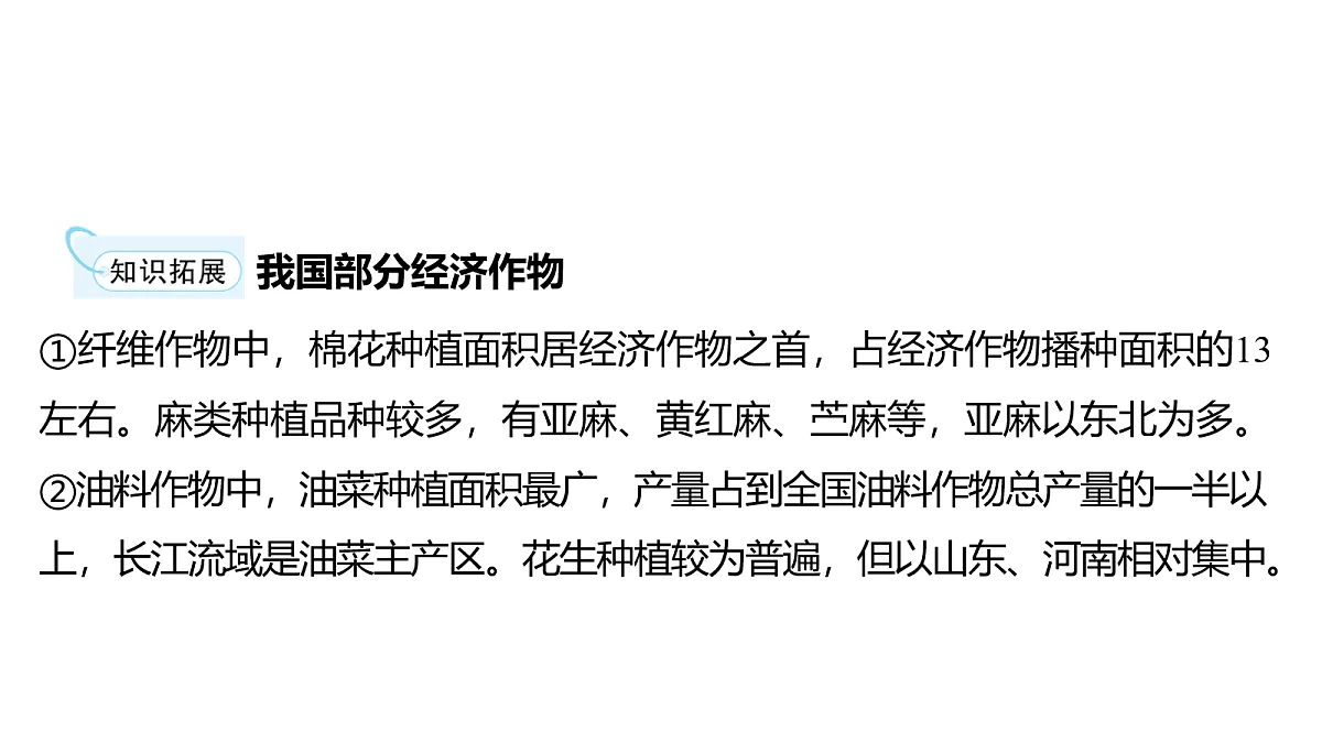 18163552第8页