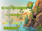 3.11.沙漠中的植物 (课件)-2025-2026学年科学三年级下册苏教版(2024)
