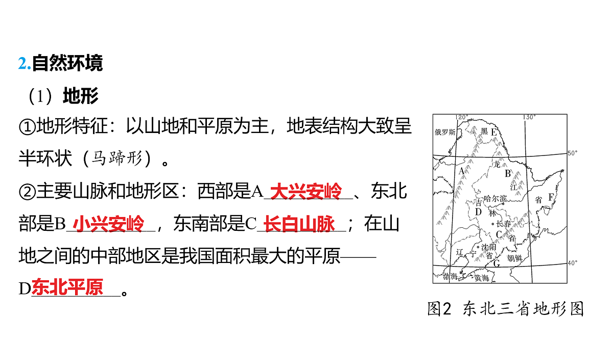 18163621第3页