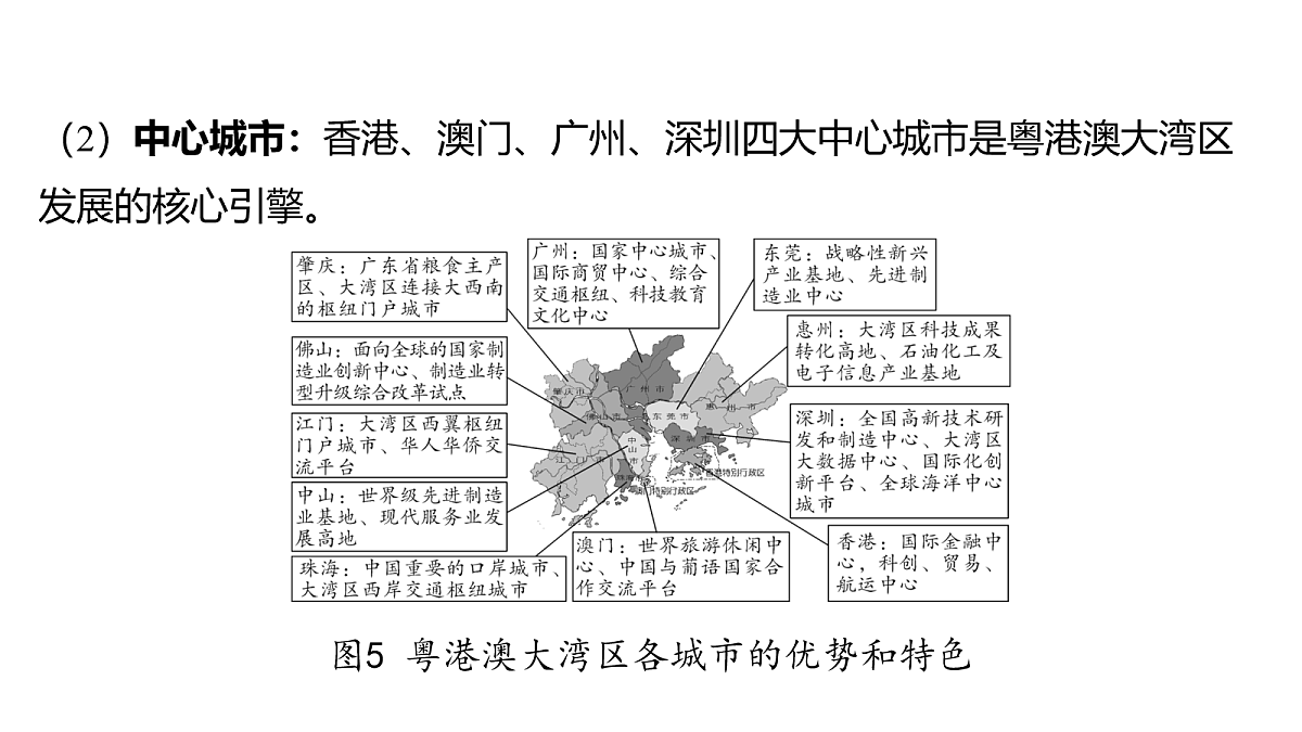 18163632第5页