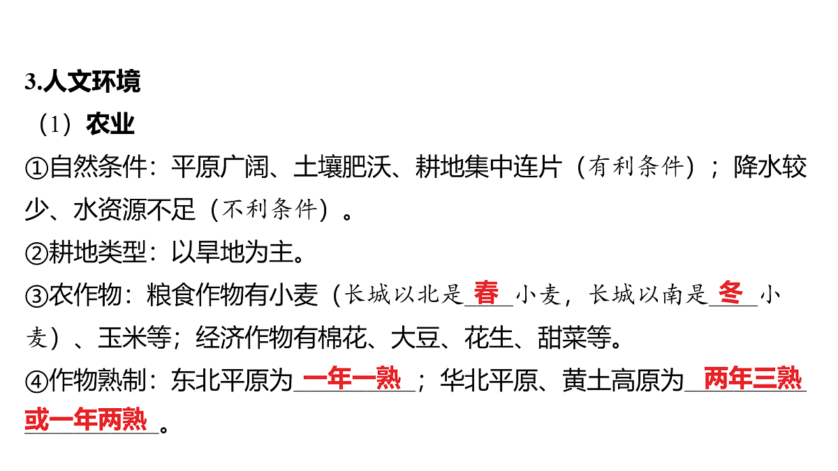 18163706第4页