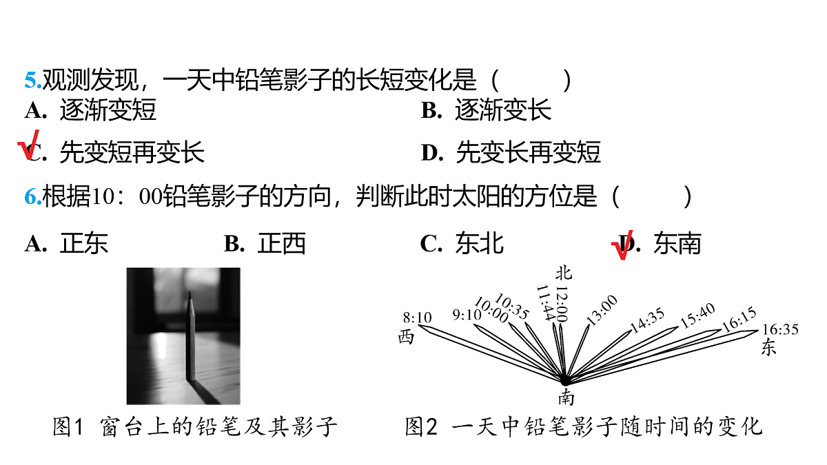 18164130第7页