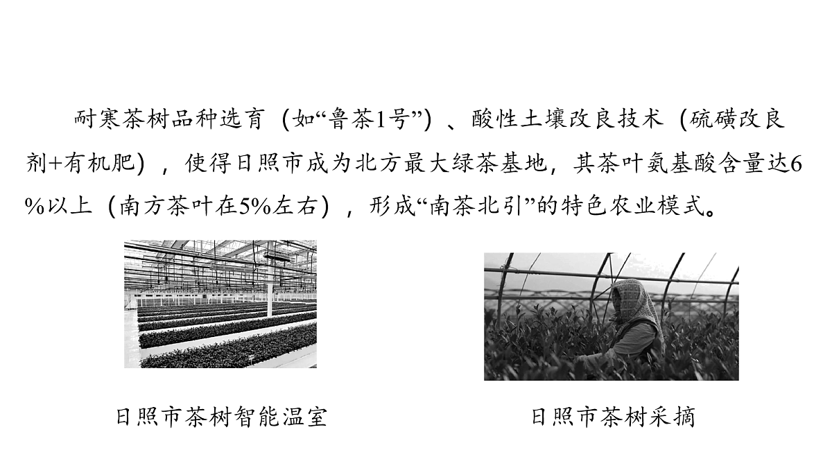 18164134第7页