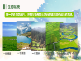 初中  生物  北师大版（2024）  八年级下册8.20.2  生态系统的组成 课件