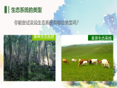 初中  生物  北师大版（2024）  八年级下册8.20.2  生态系统的组成 课件