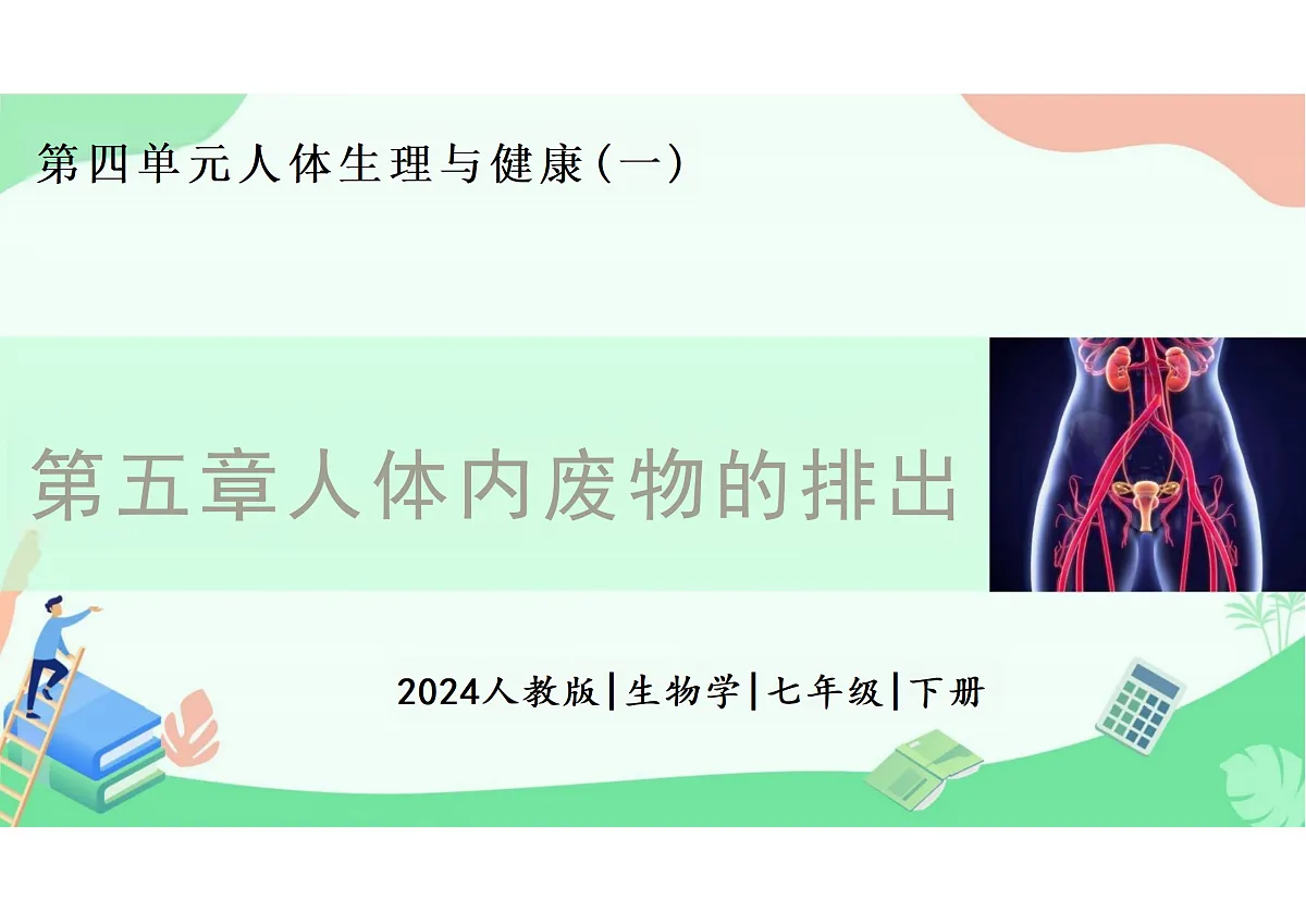 18164473第1页