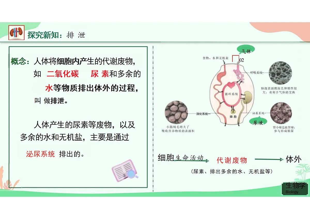 18164473第4页