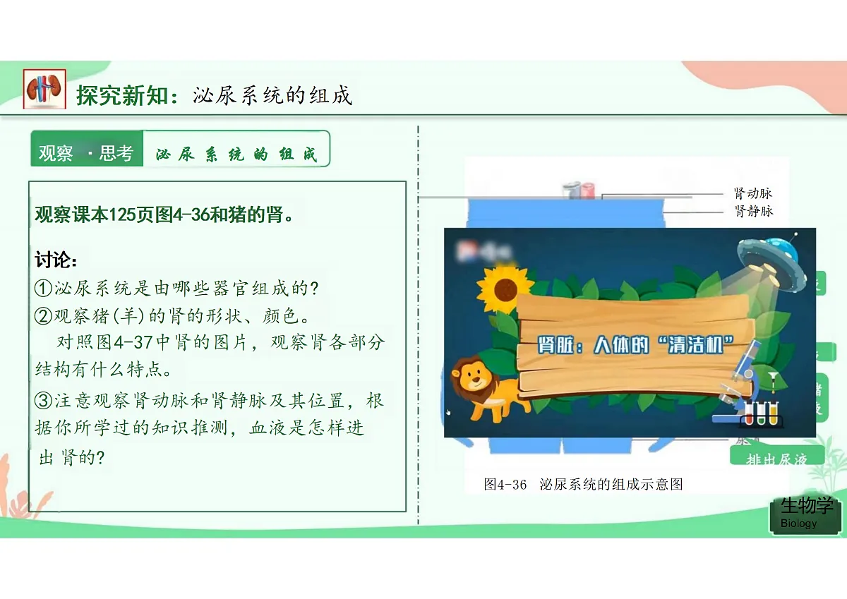 18164473第5页