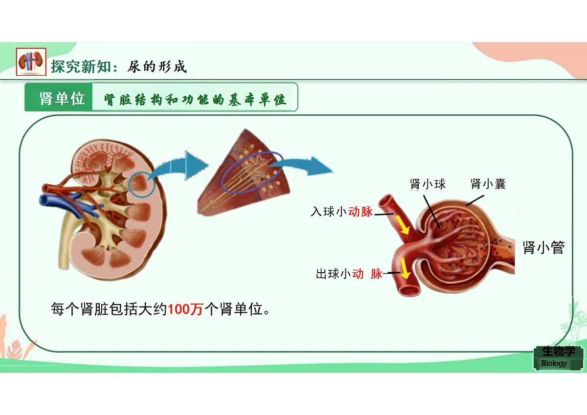 18164473第6页