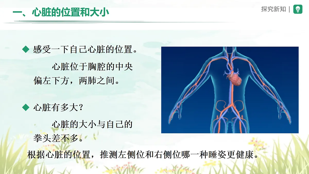 18164474第2页