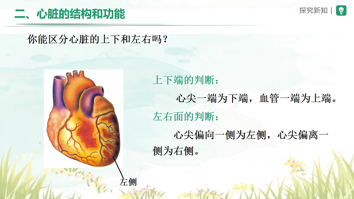 18164474第3页
