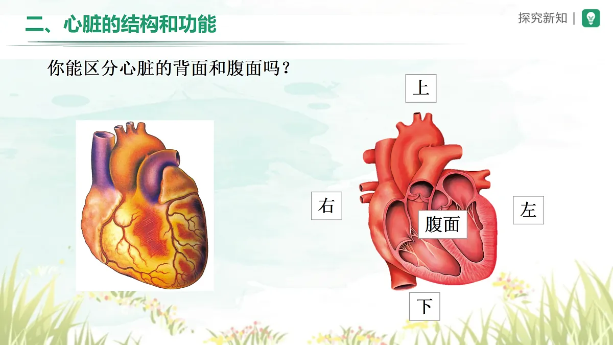 18164474第4页