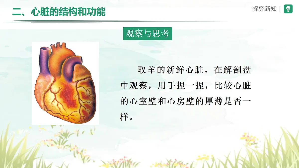 18164474第5页