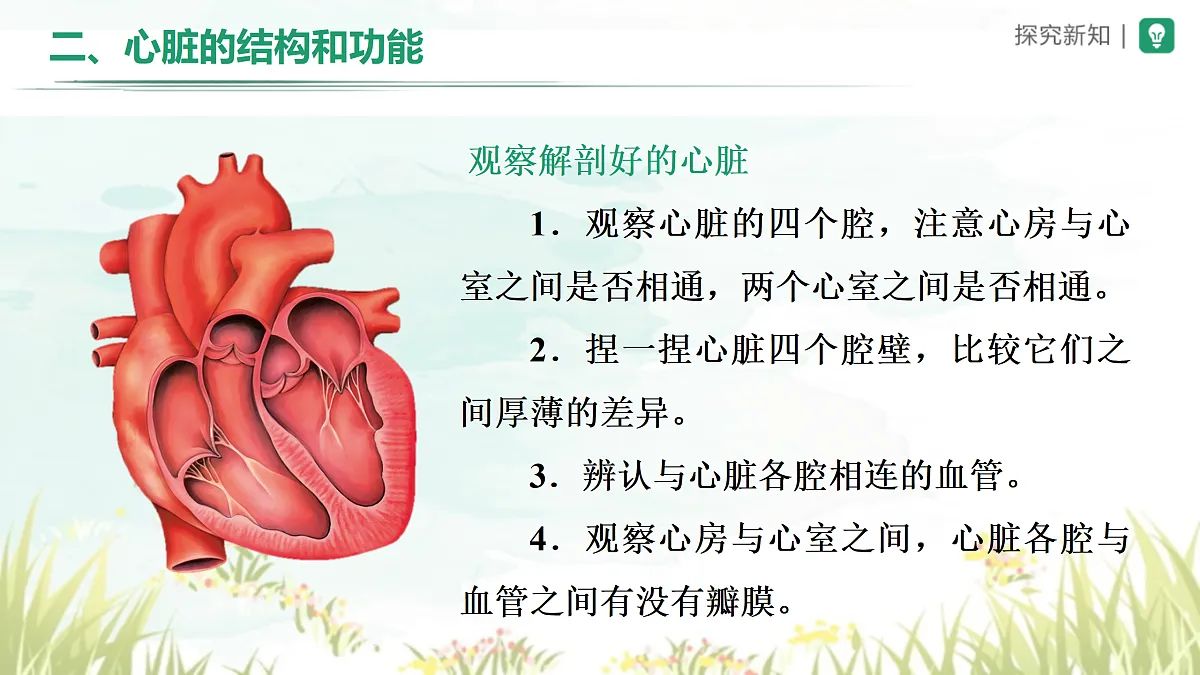 18164474第6页