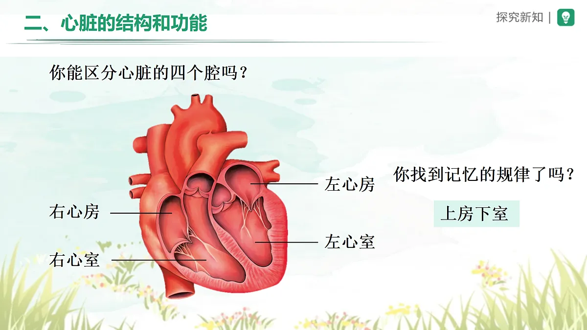 18164474第7页