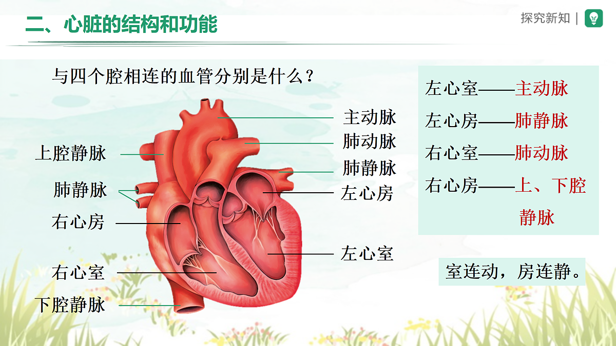 18164474第8页