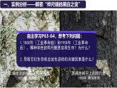 初中  生物  人教版（2024）  八年级下册6.3.3 生物进化的原因 课件