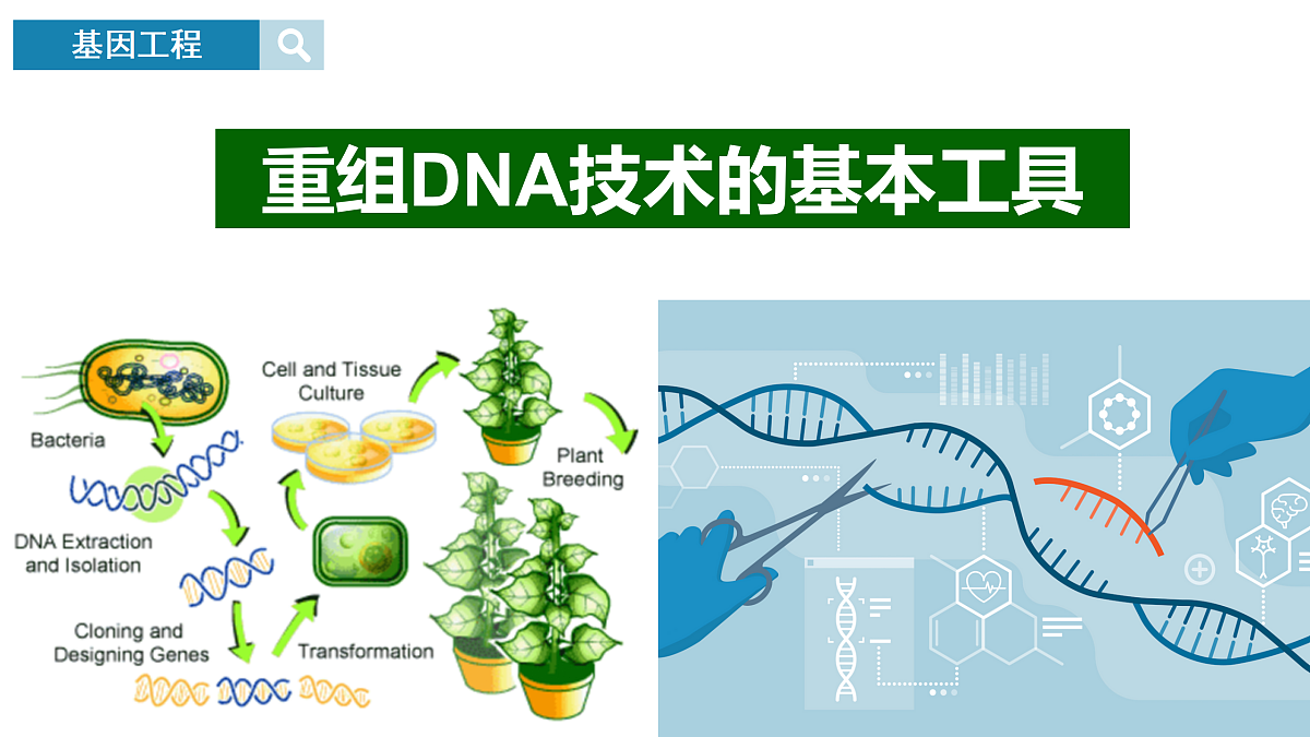 18164590第1页
