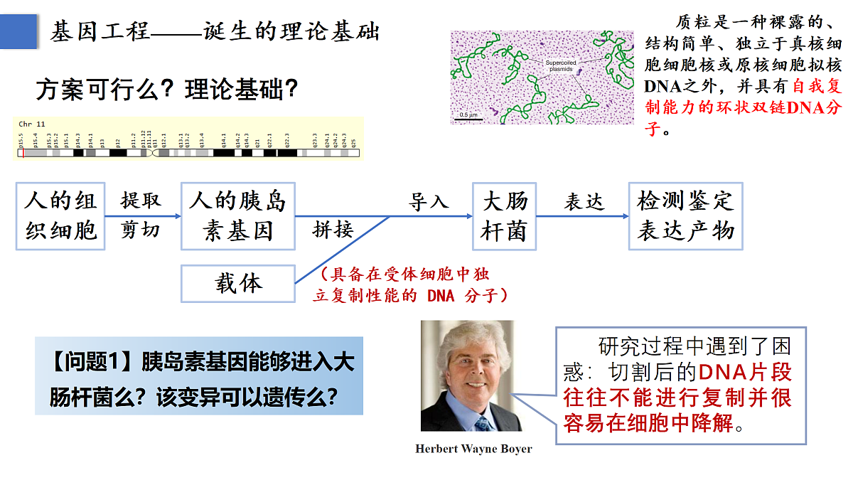 18164590第3页
