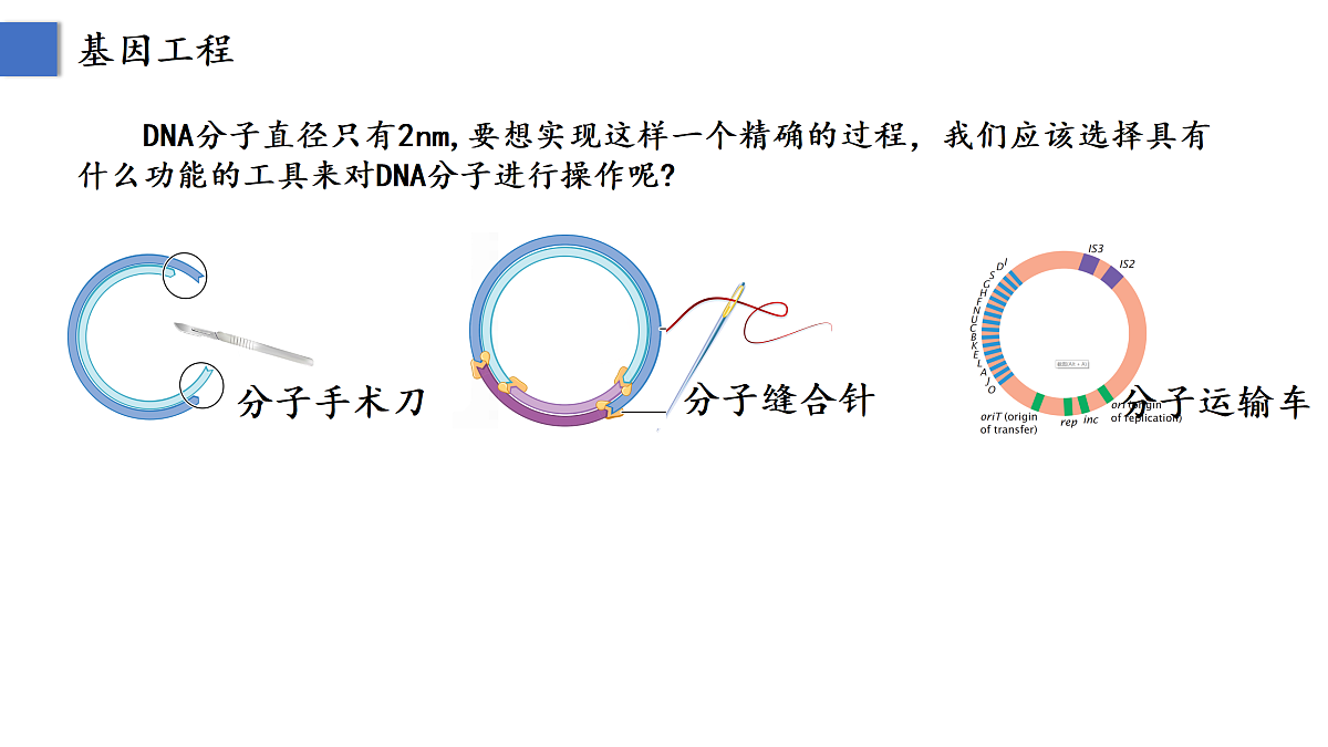 18164590第6页