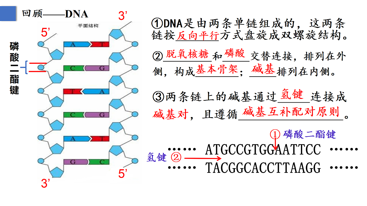 18164590第7页