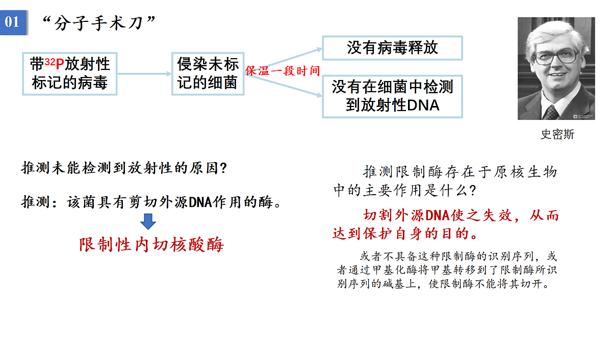 18164590第8页