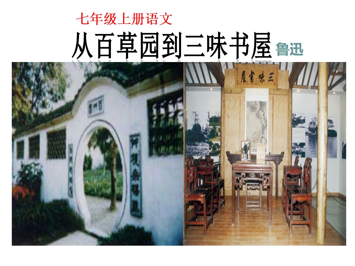 18164642第1页