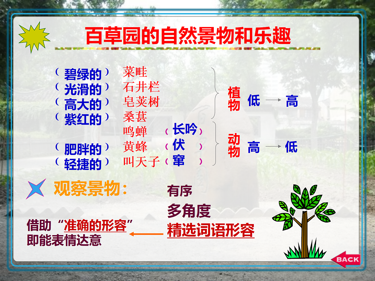 18164642第7页