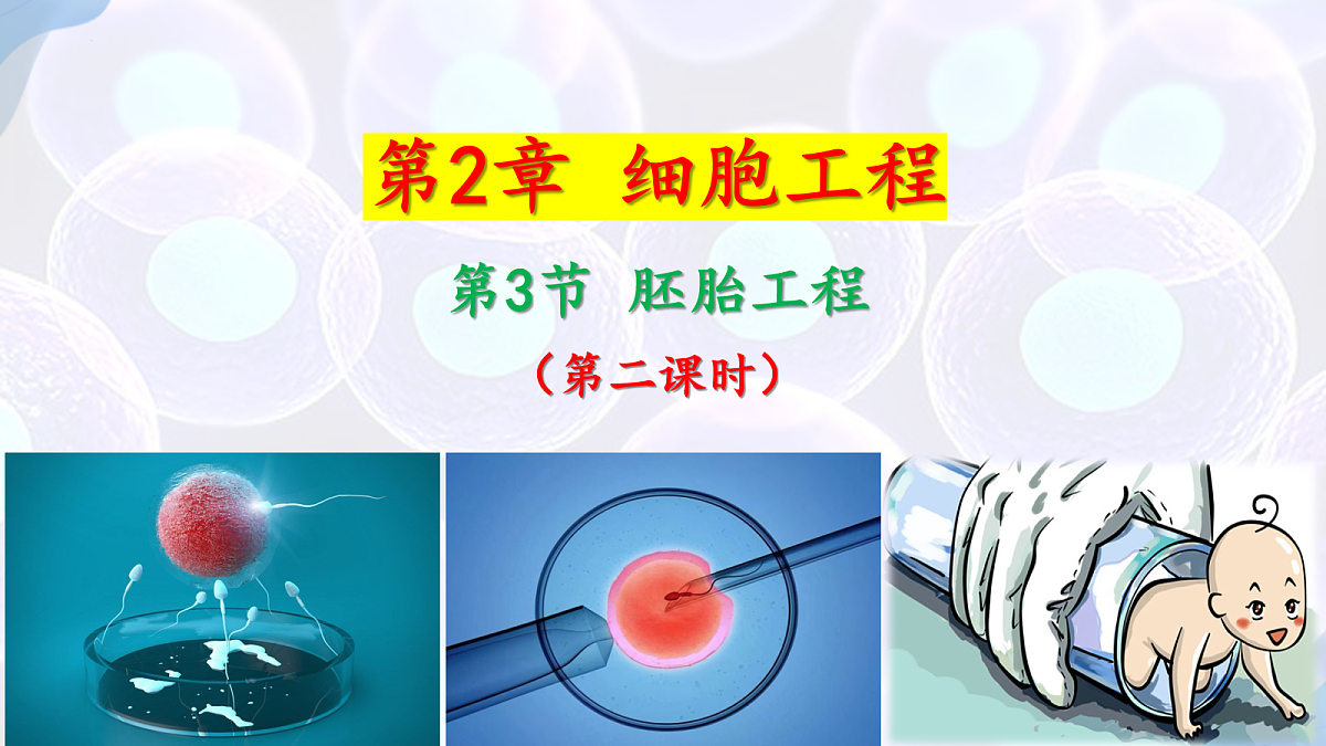 18164644第1页