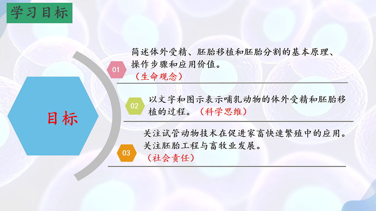 18164644第2页