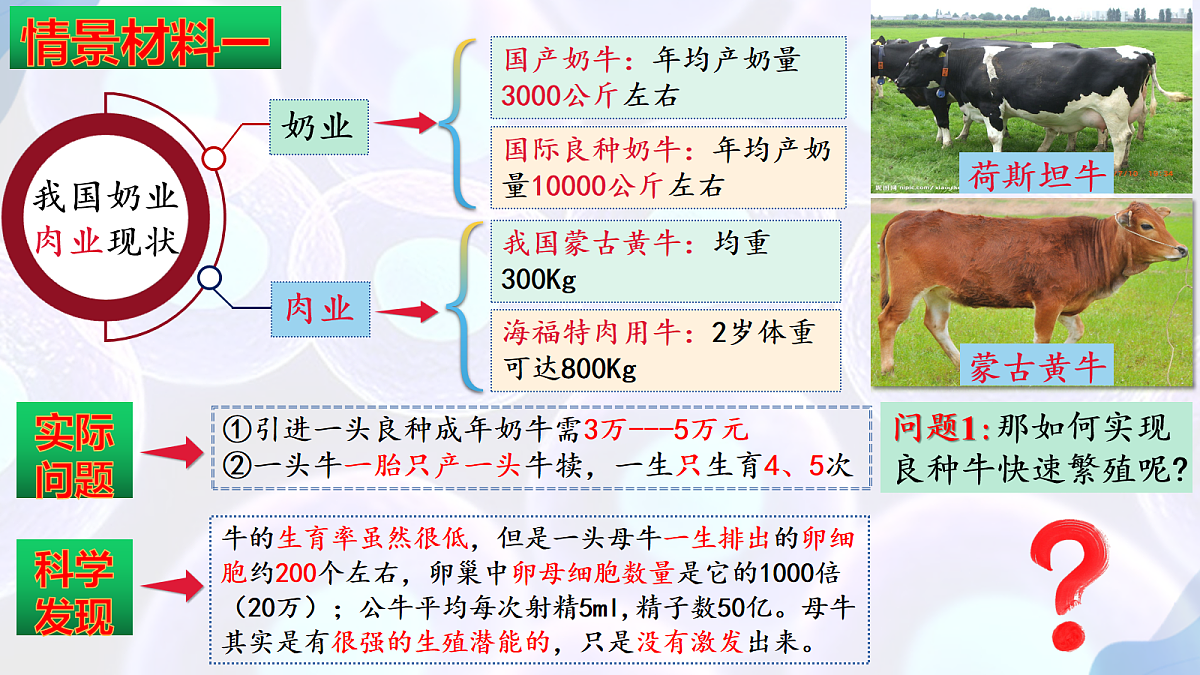 18164644第3页